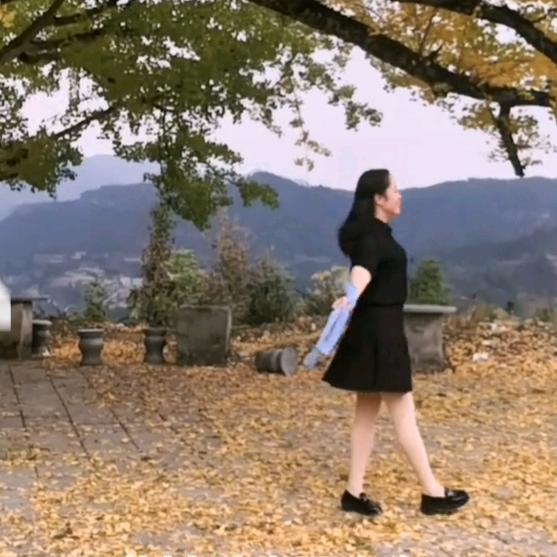 静默花开