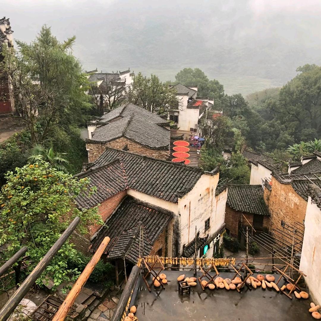 云江（拍摄）
