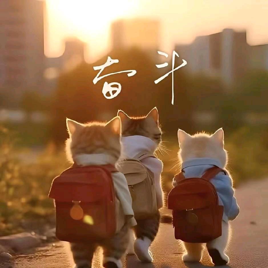 随风而行!