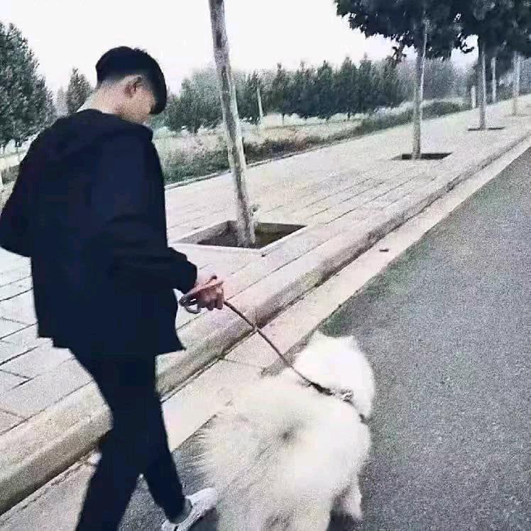 焚殺