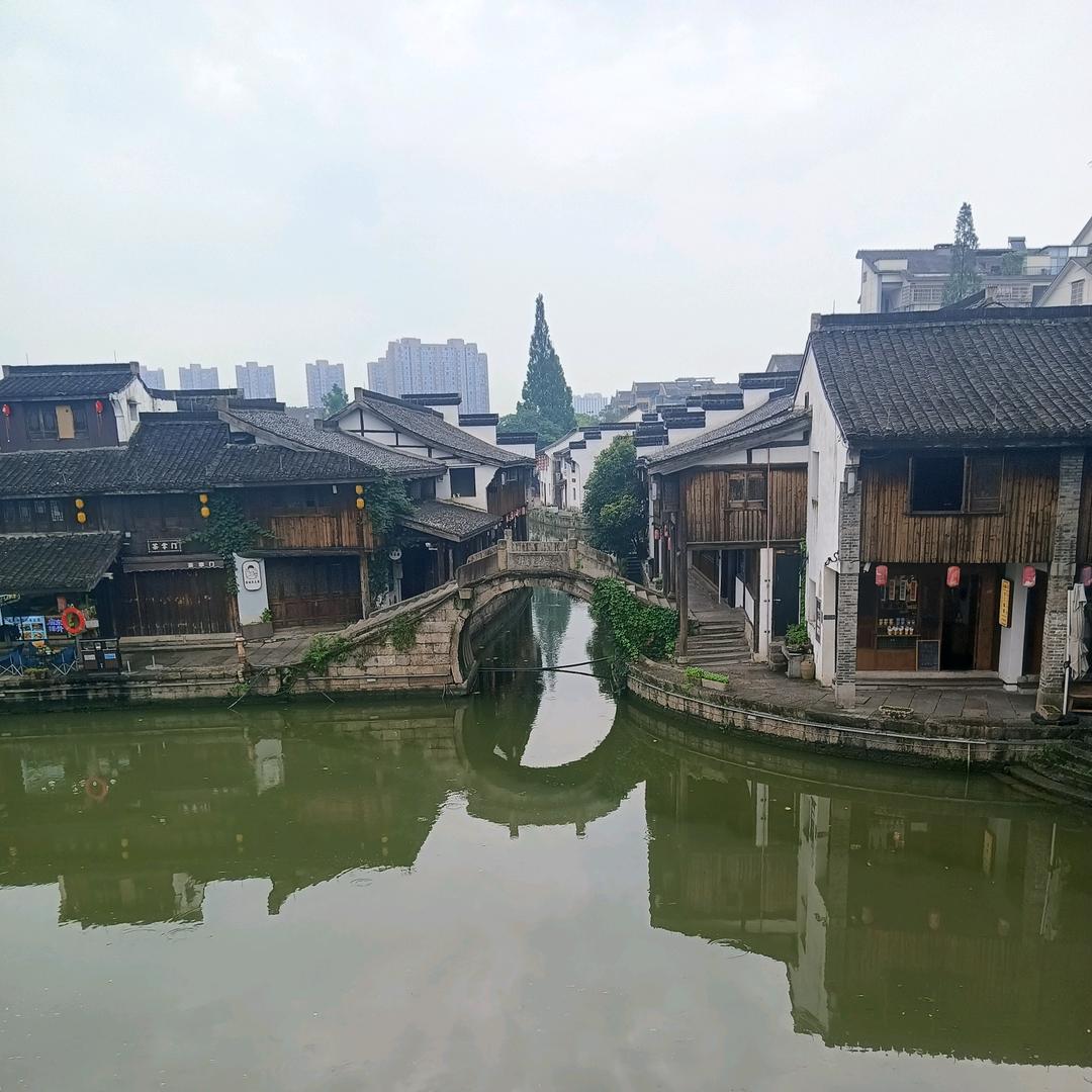 小“送”的故事。