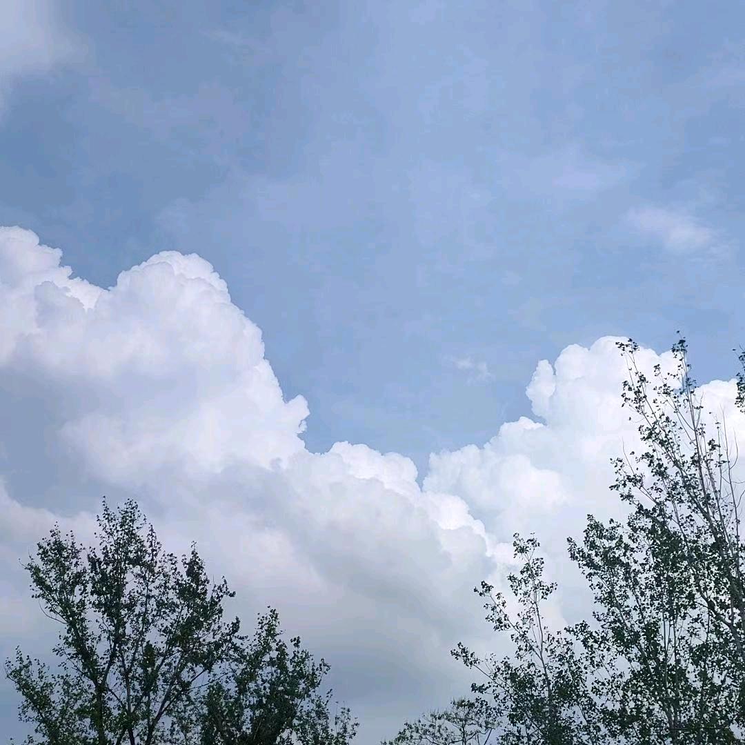 感情的戏   无需演技