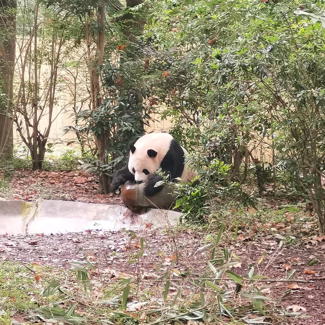 A健康是福