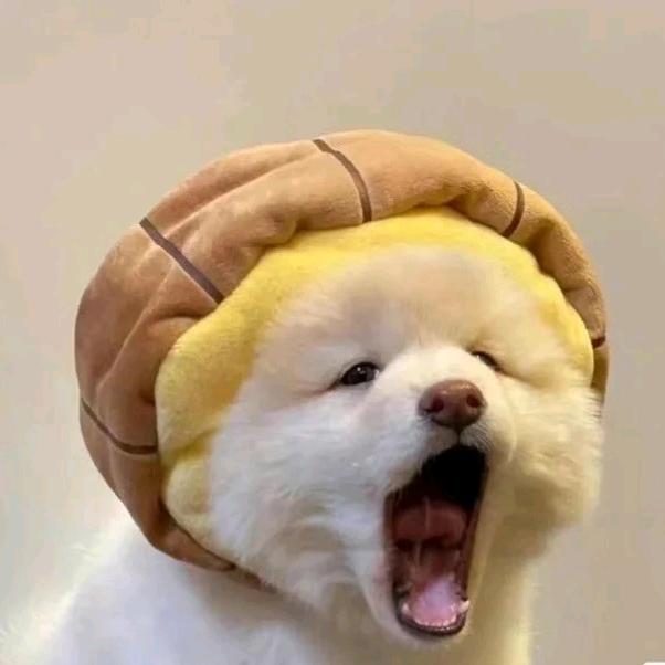 宠爱一生