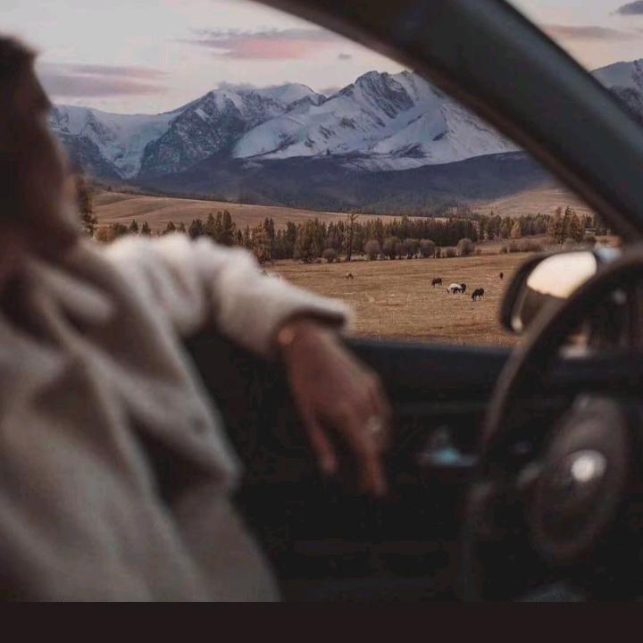忘忧