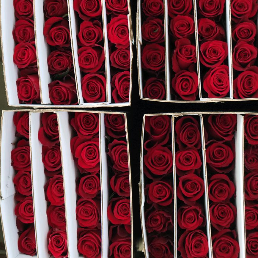 嵩明县琼芸玥鲜花店（个体工商户）