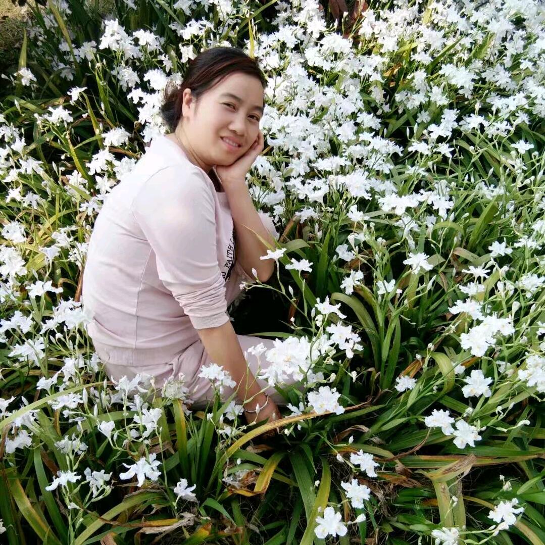 ^O^華o(*≧華≦)ツ┏━┓