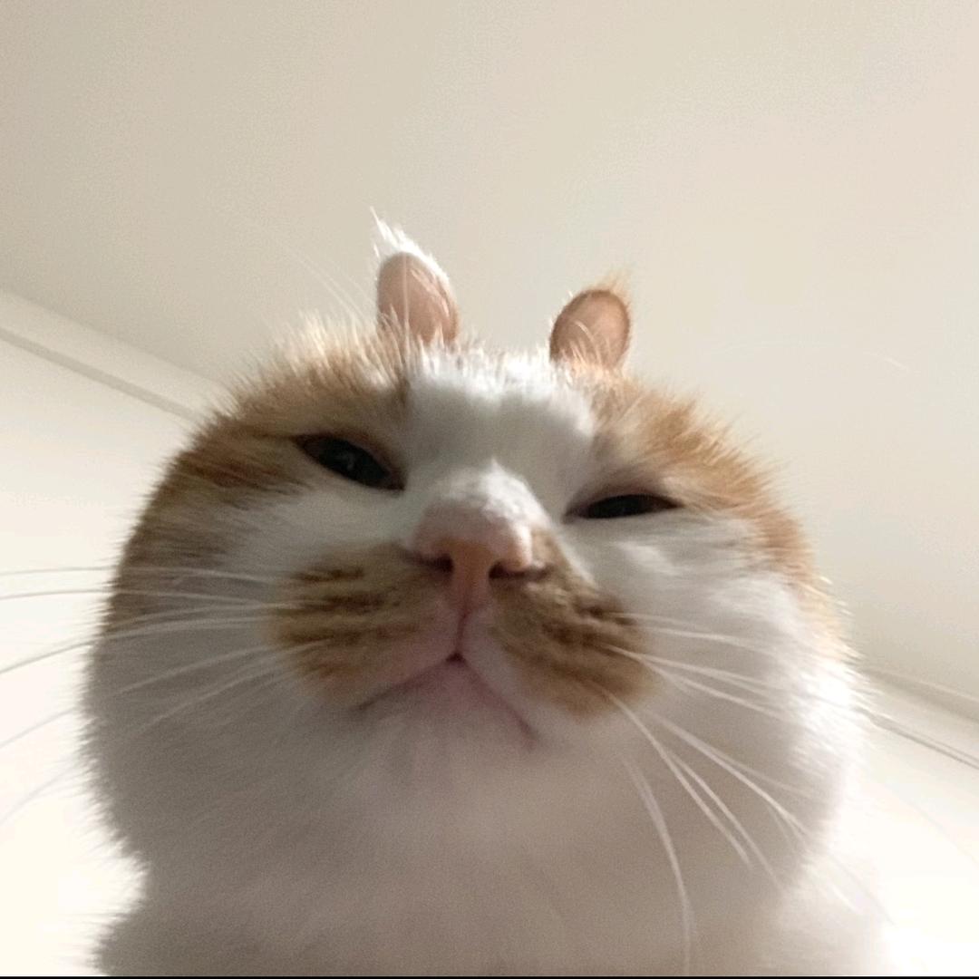 AAA.米线批发何姐