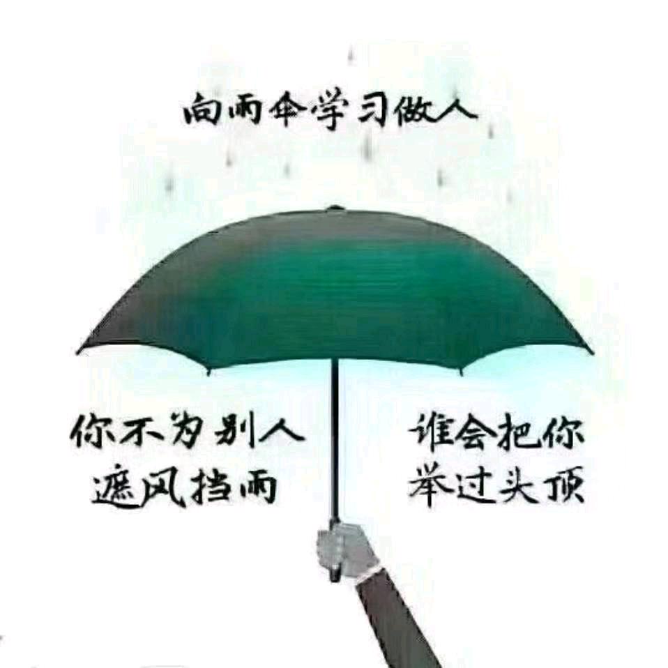 四川润林木业有限公司