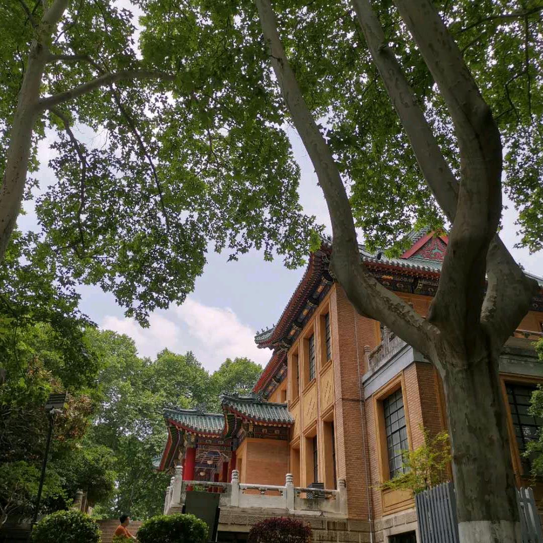雀实可爱