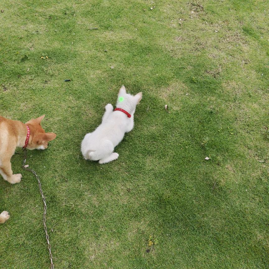 剑河土猎啊源