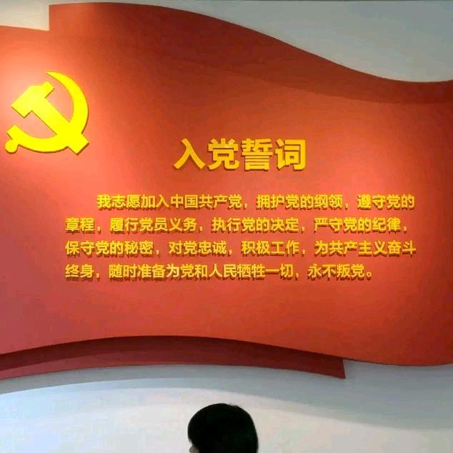 金惠多