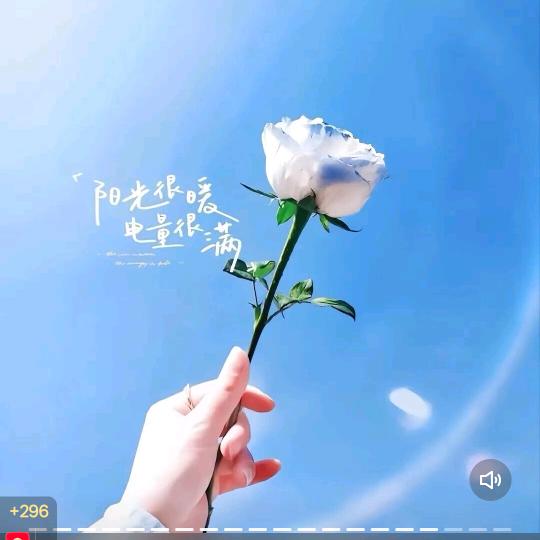 带刺的玫瑰
