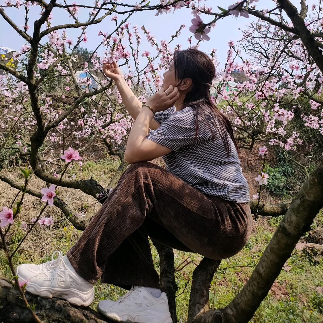 杨氏专业拆除