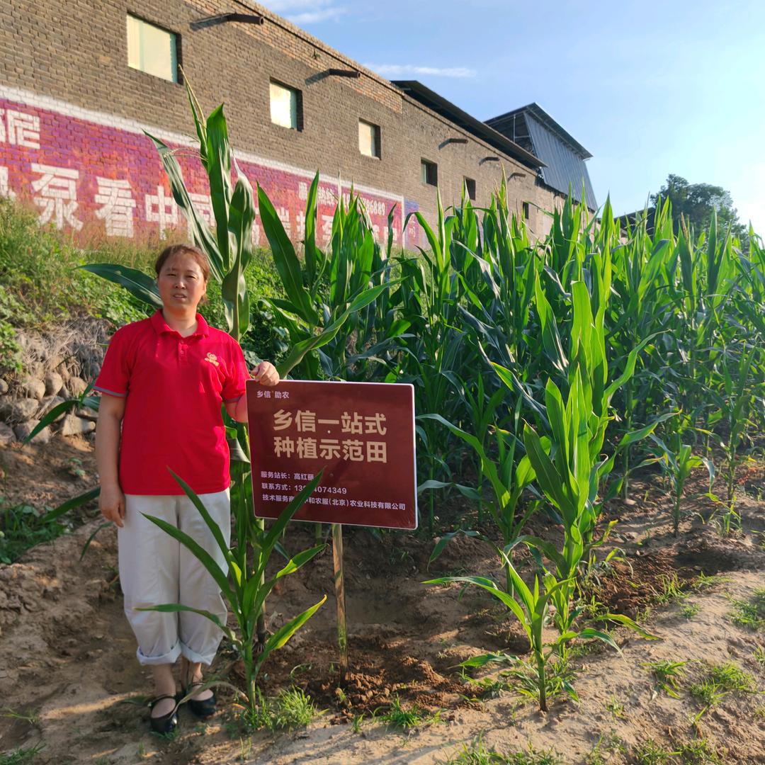 余生好好爱自己（有玉米化肥）