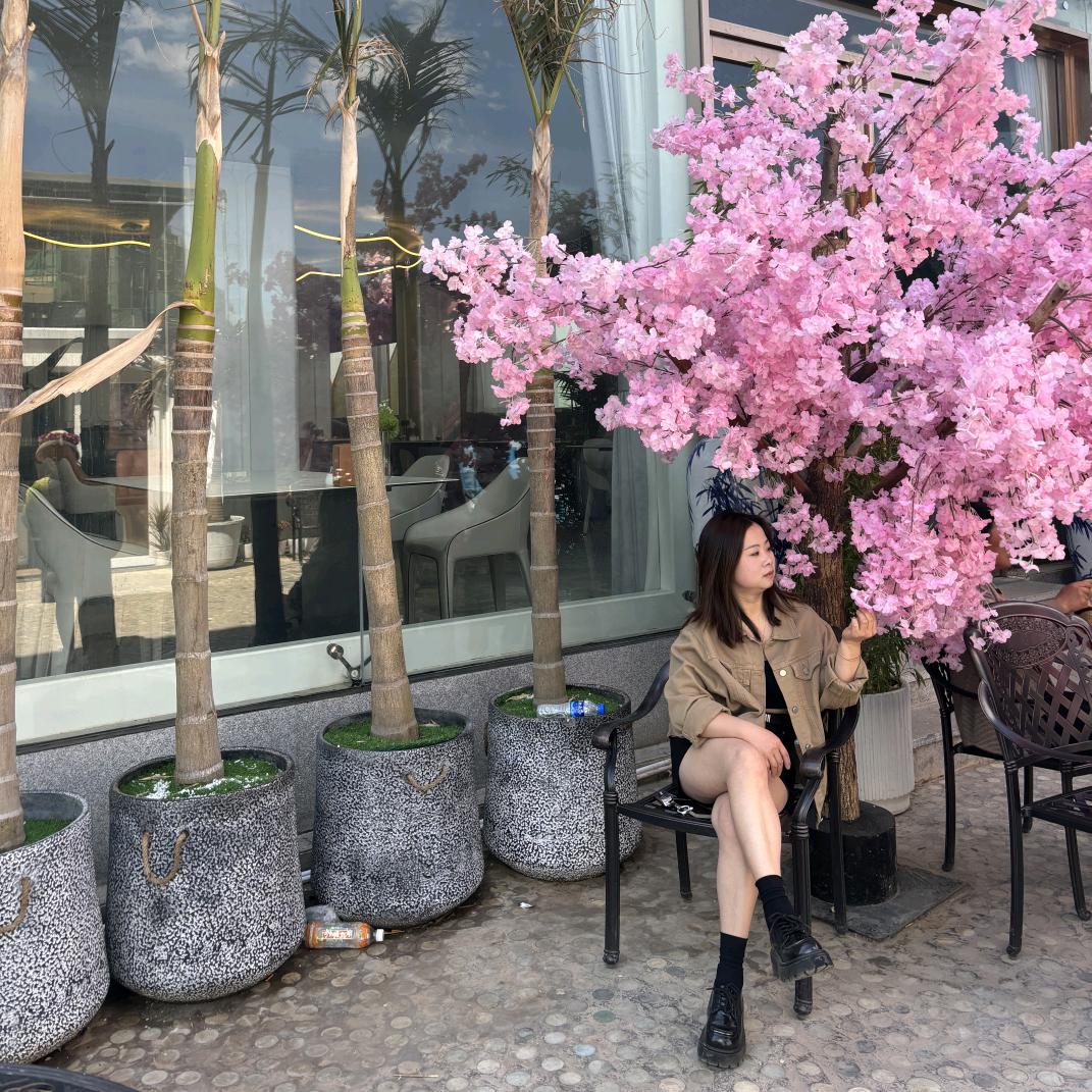 邵东水精灵海鲜 冻品销售