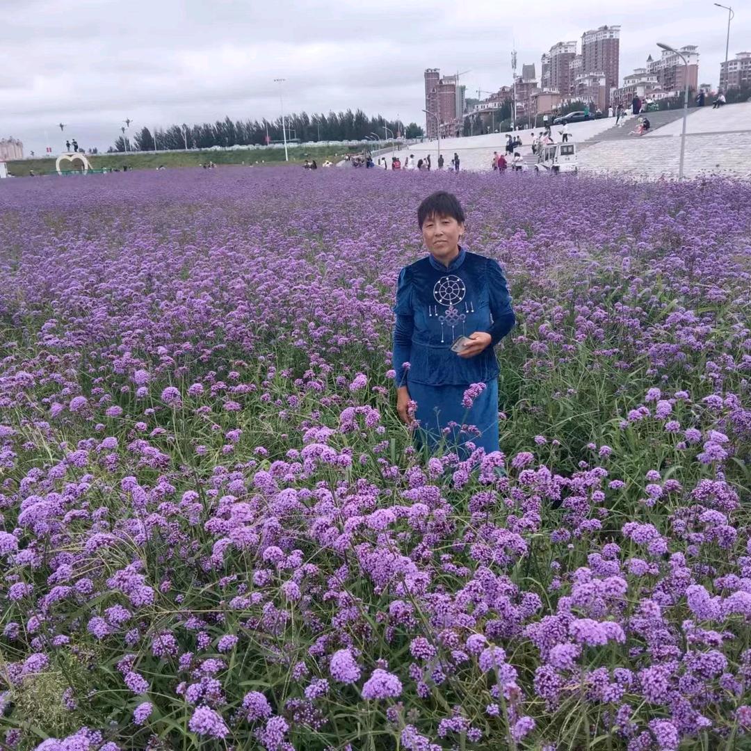 爱看短剧