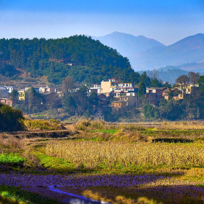 (❤云☘️南山🍀歌☘️❤)