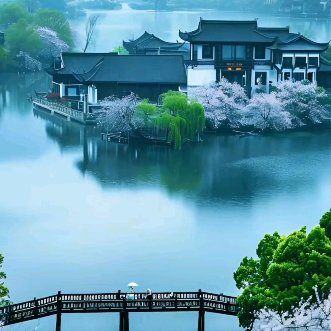 树上的鱼
