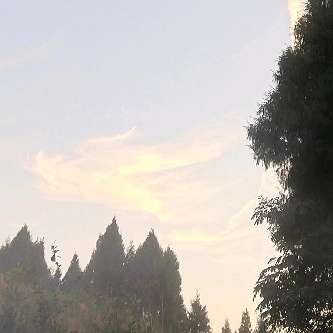 福哥原生态