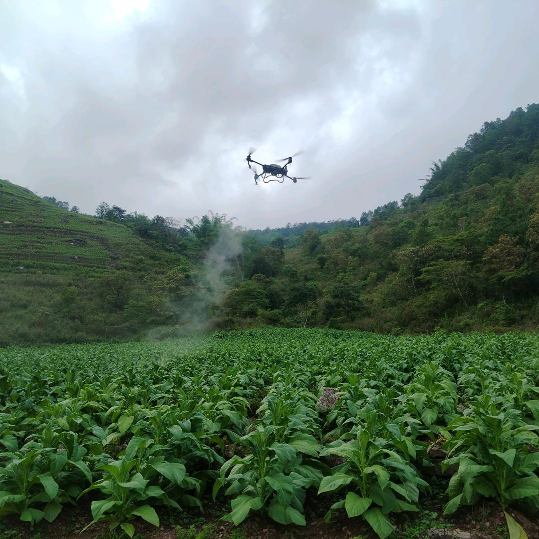 耕赢植保-烟田飞防（东）