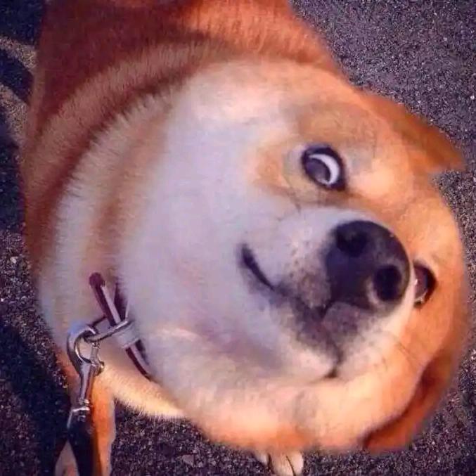 馅子今天吃什么