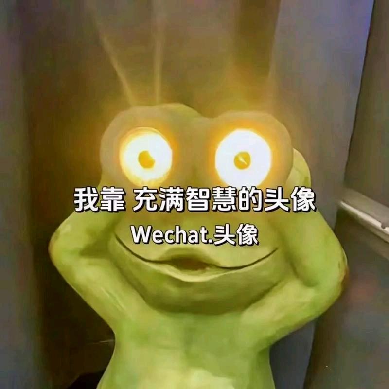 陈火蛋