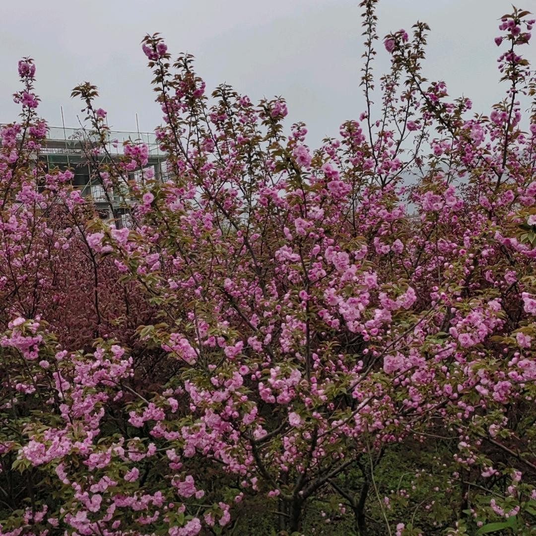 快乐每一天
