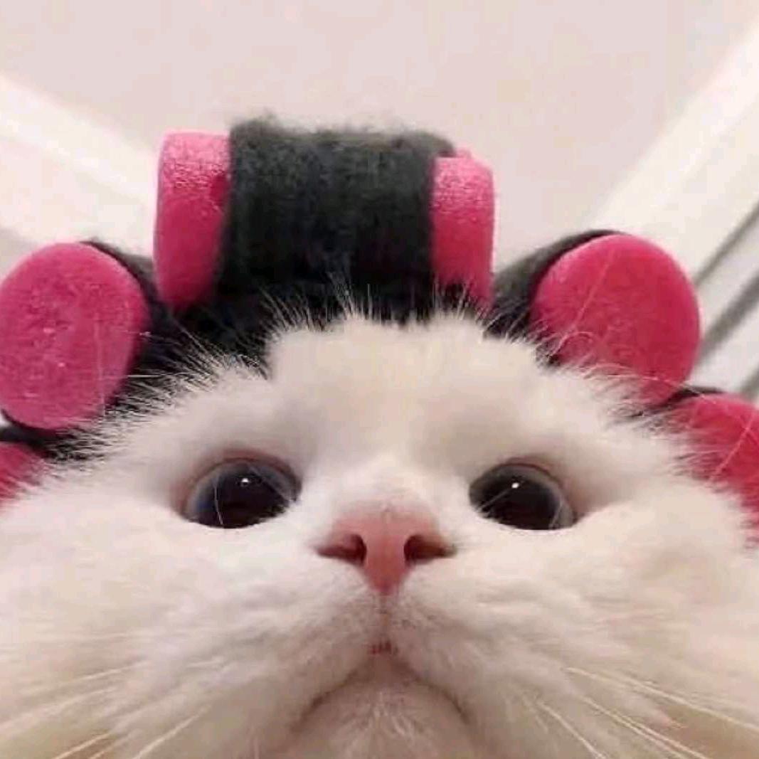 柒月