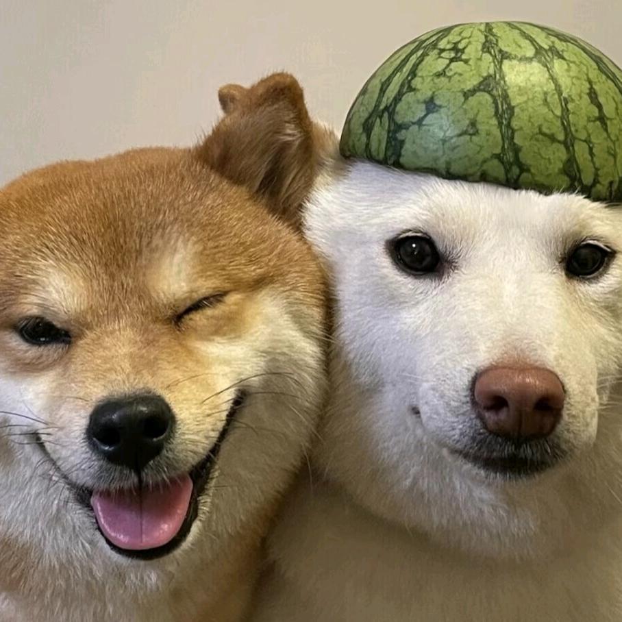 啦啦德玛西亚，，