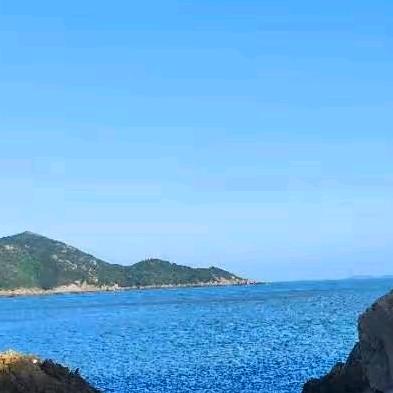 随意而安