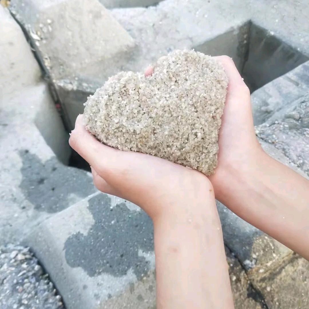 鱼在路上