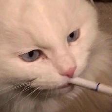 原生态帅哥