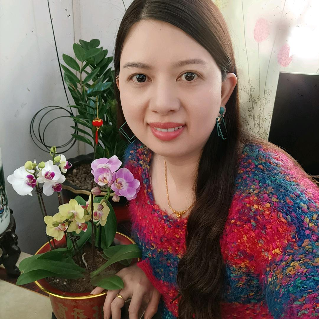 郑少燕《橱窗好物》