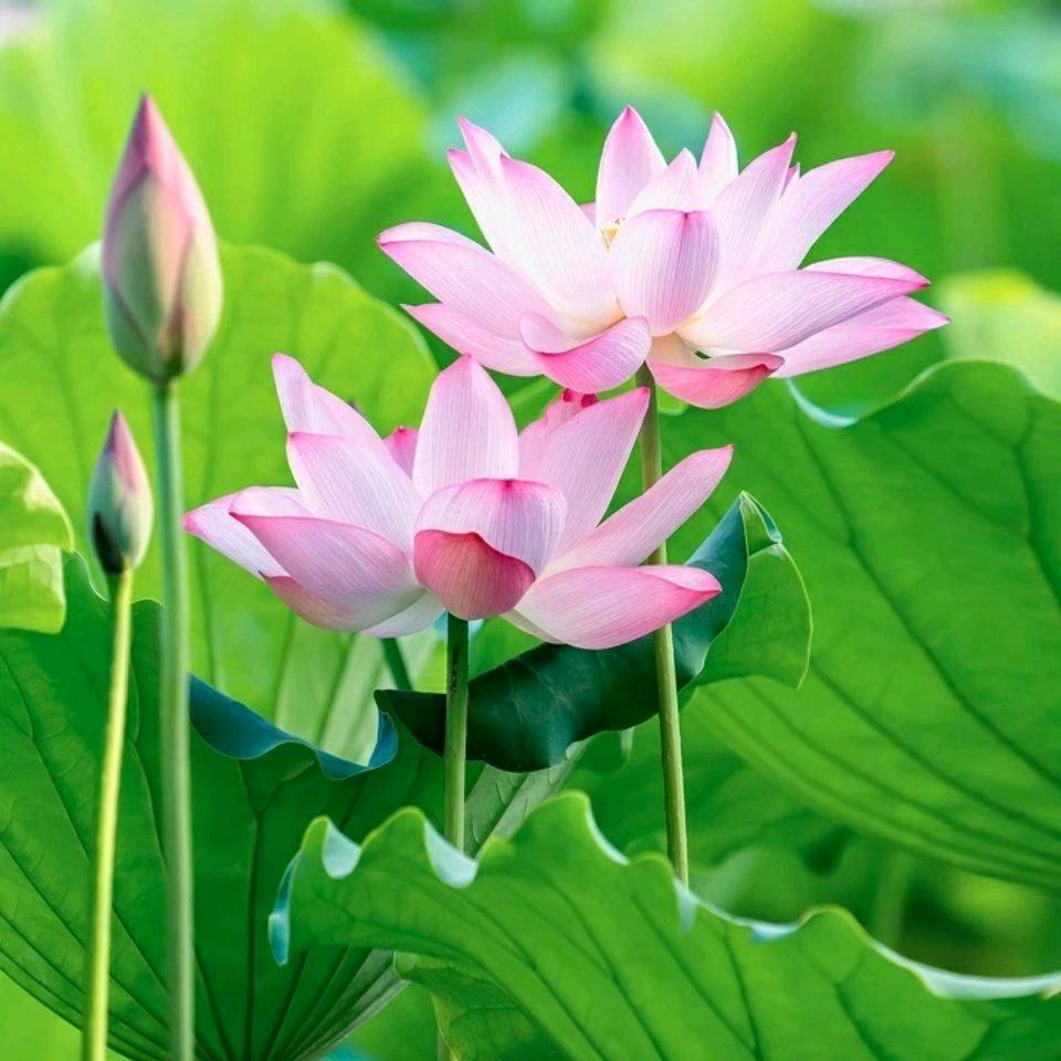 幸福一生