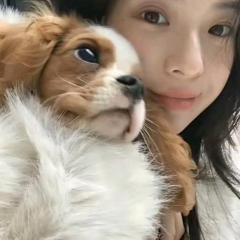 委屈的小ᵍᵘⁱ