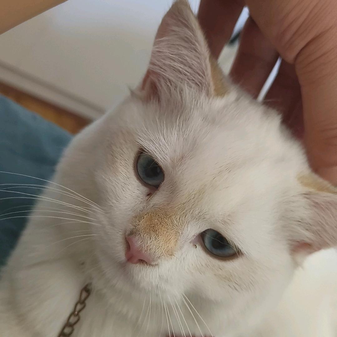 孤独与陪伴