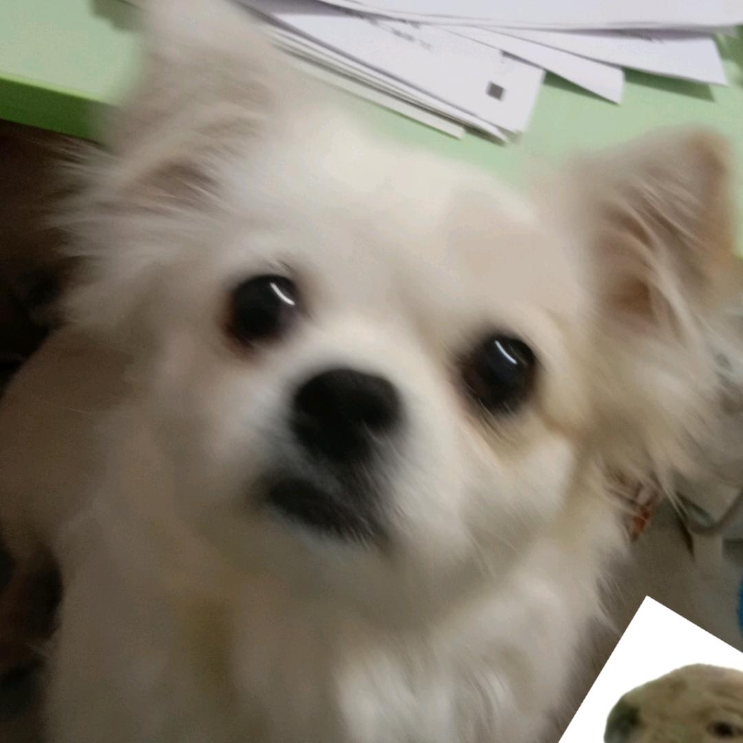 弦的没事儿干（快哉快哉