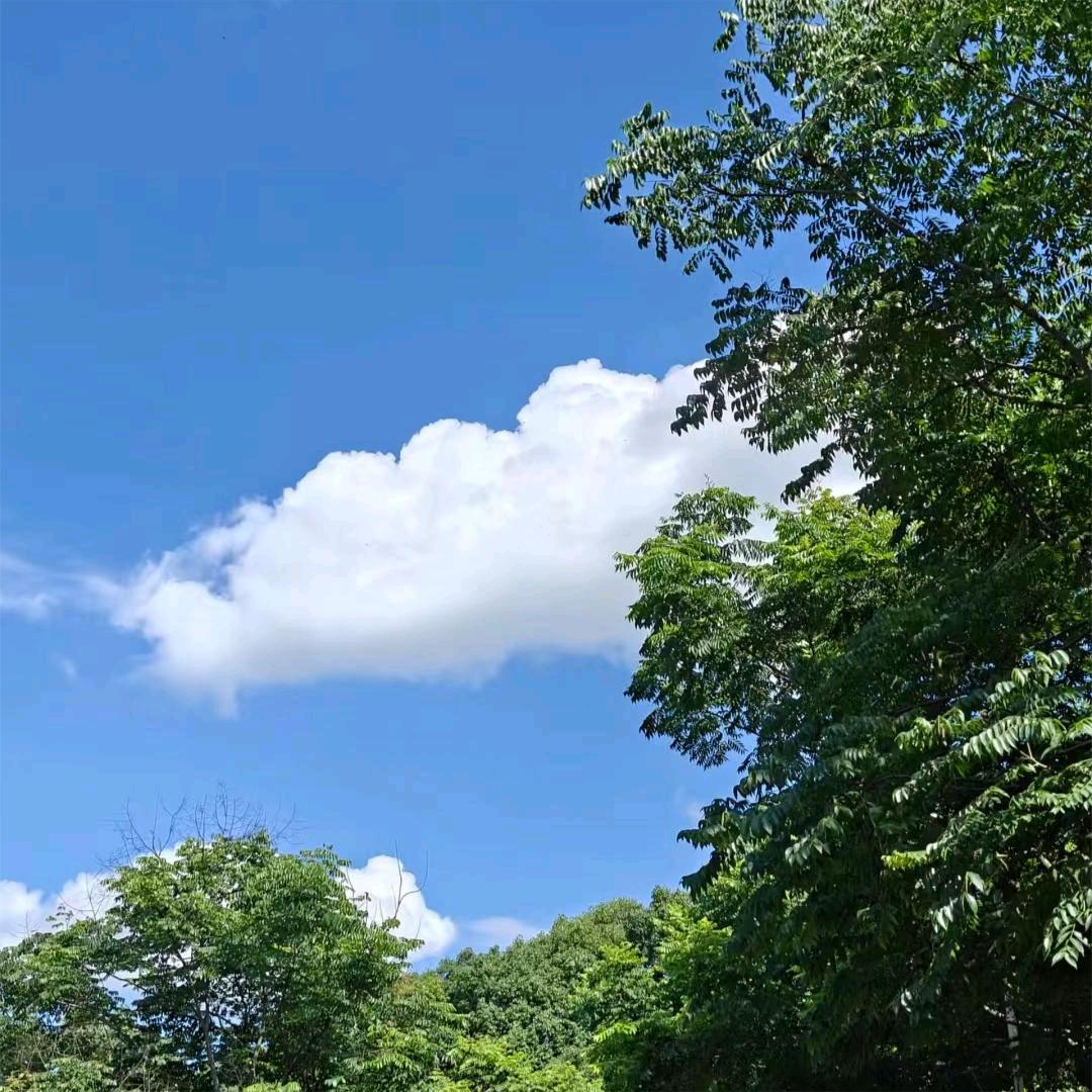 @《张》