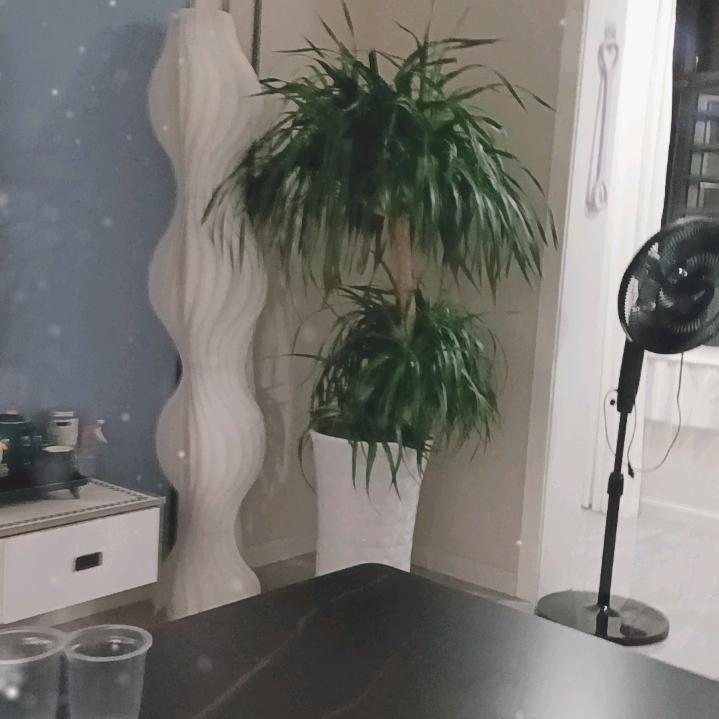 一往情深