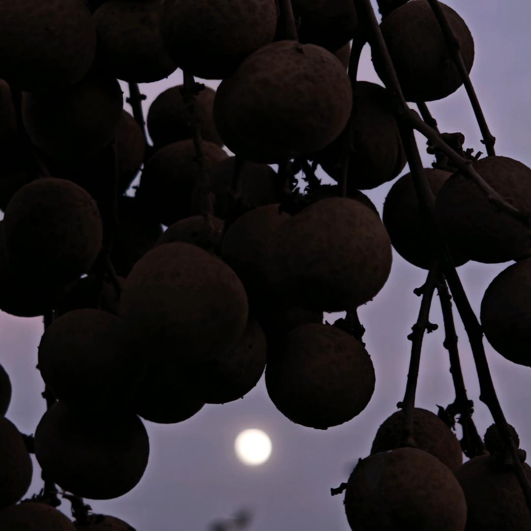 孟恩最不能喝酒的人