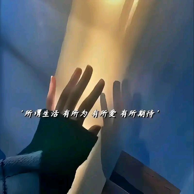 永不改名