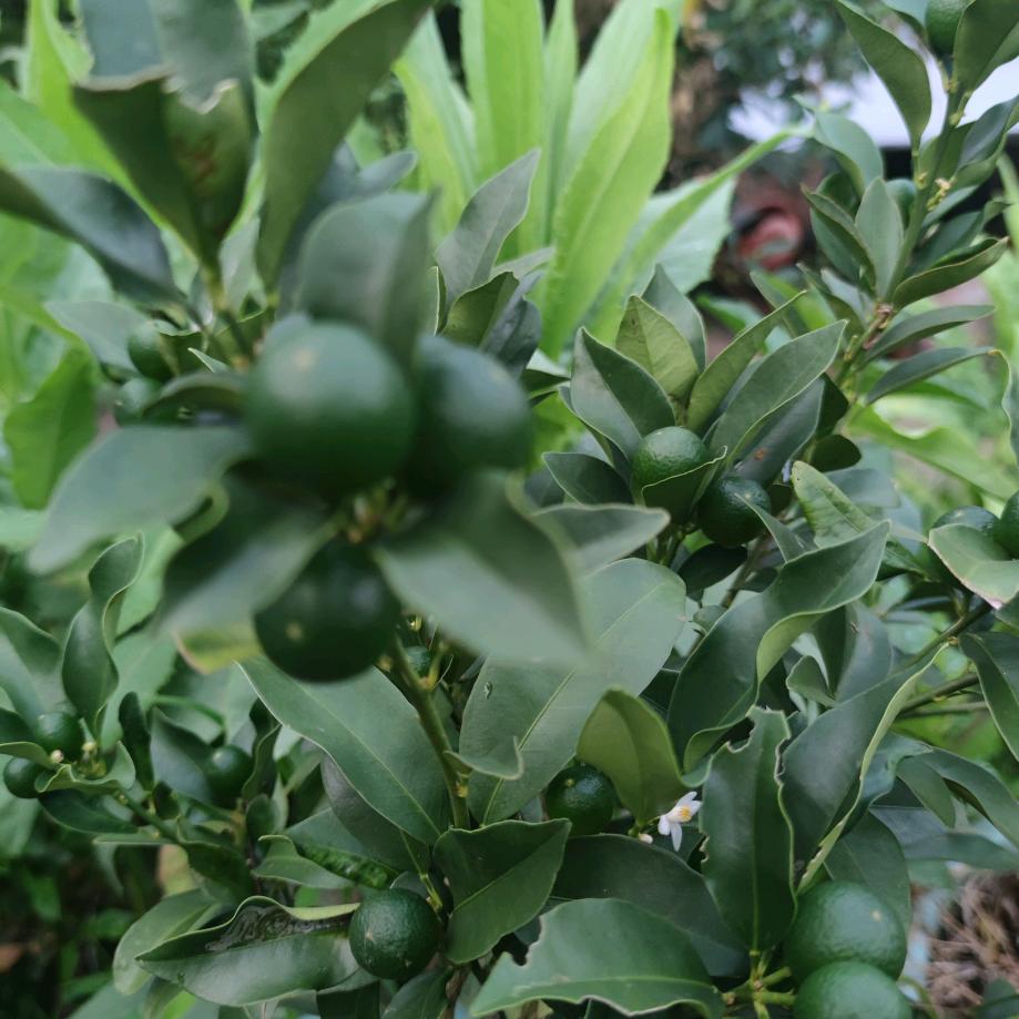☀️春暖花开有好物🌸