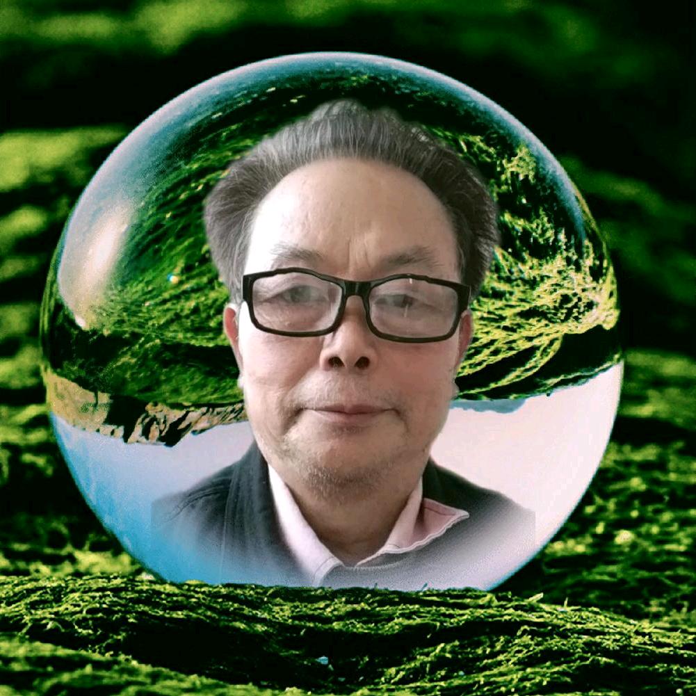 拼搏人生