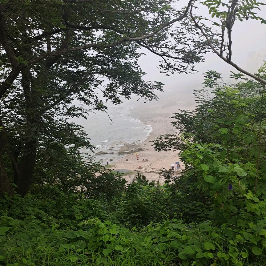 好运连金🎤💅🏻