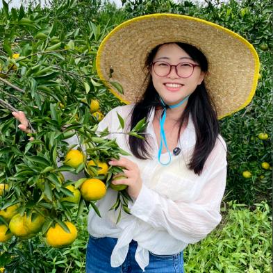 阿丽陈皮（天马接生围）