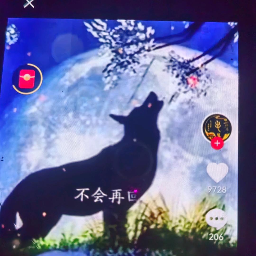 ❤吉祥三宝