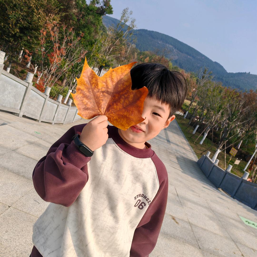 _听风说梦