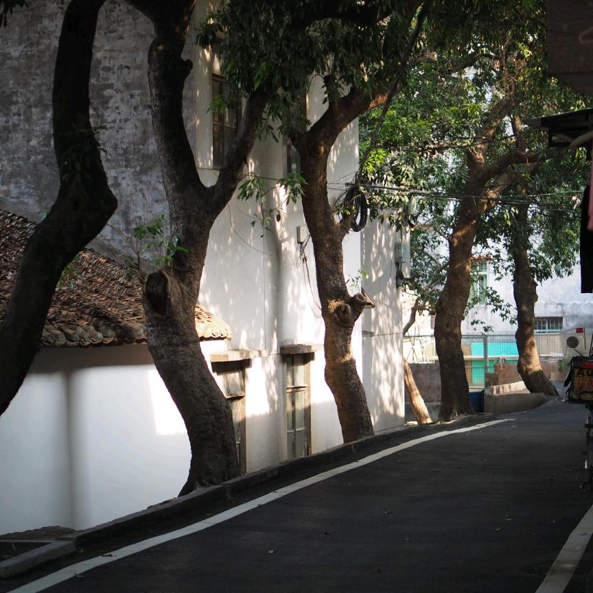 蛋炒饭的栀子花