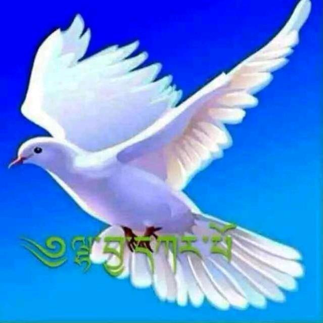 卓拉